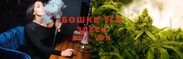 соль курить ск Иннополис