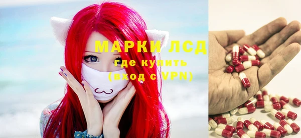 молекула духа Инсар
