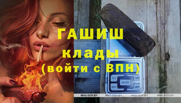 молекула духа Инсар