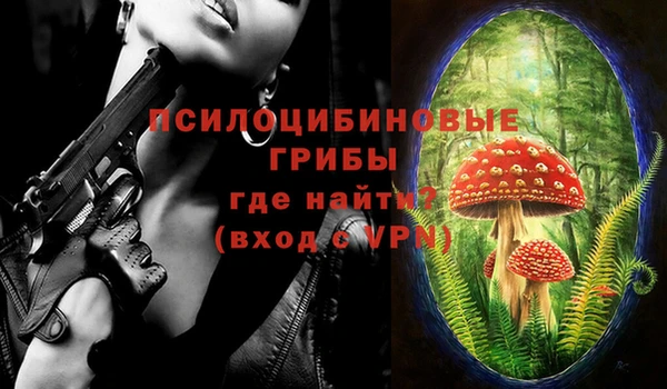 молекула духа Инсар