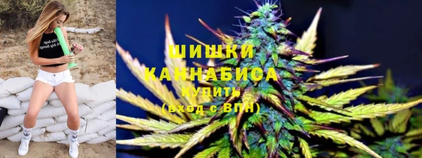 молекула духа Инсар