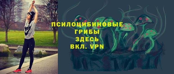 соль курить ск Иннополис
