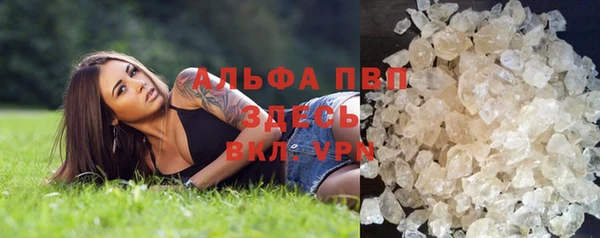 молекула духа Инсар